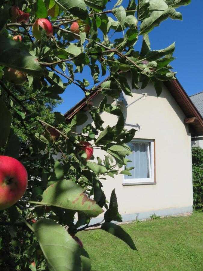 Bed and Breakfast Haus Irmi Knittelfeld Esterno foto